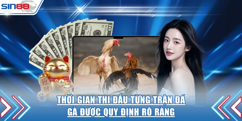 Thời gian thi đấu từng trận đá gà được quy định rõ ràng