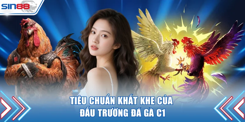 Tiêu chuẩn khắt khe của đấu trường đá gà C1