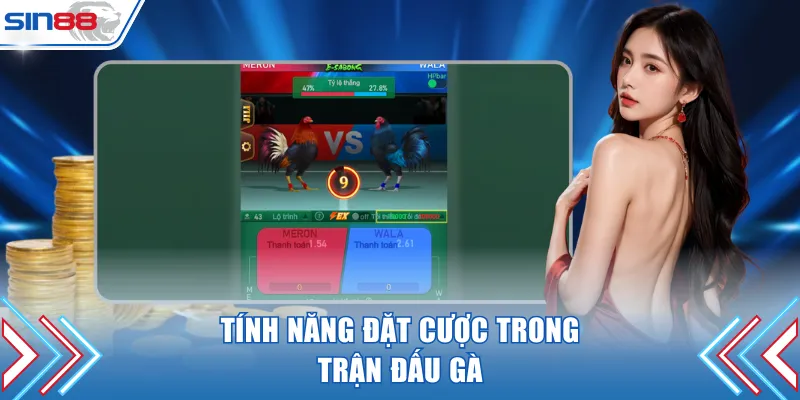 Tính năng đặt cược trong trận đấu gà